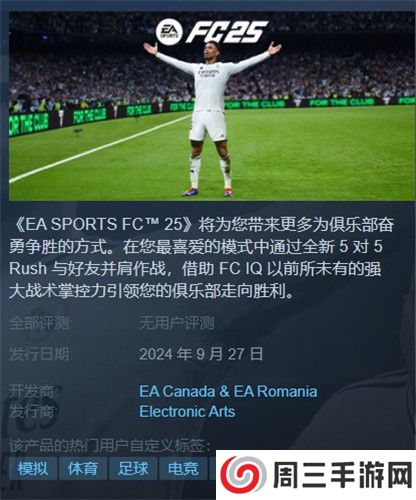 fifa25截图