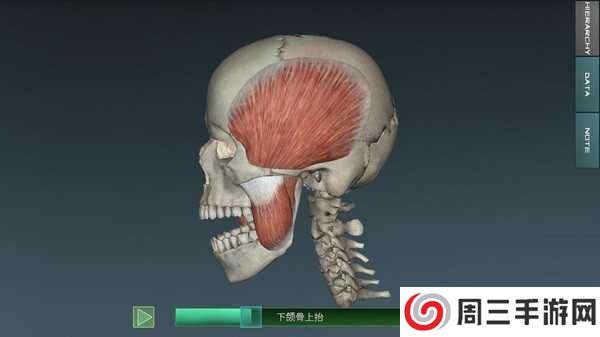 人体解剖学图谱解锁付费高级版下载