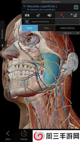 Human Anatomy Atlas 